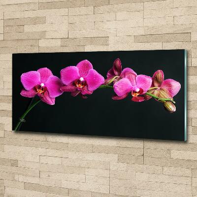 Glazen schilderij Orchidee