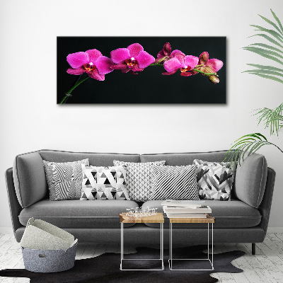 Glazen schilderij Orchidee