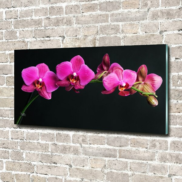 Glazen schilderij Orchidee