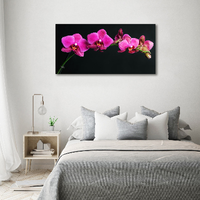 Glazen schilderij Orchidee