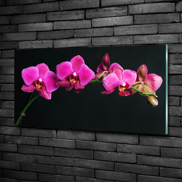 Glazen schilderij Orchidee