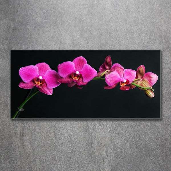 Glazen schilderij Orchidee