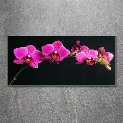 Glazen schilderij Orchidee