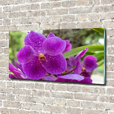 Schilderij glas Orchidee