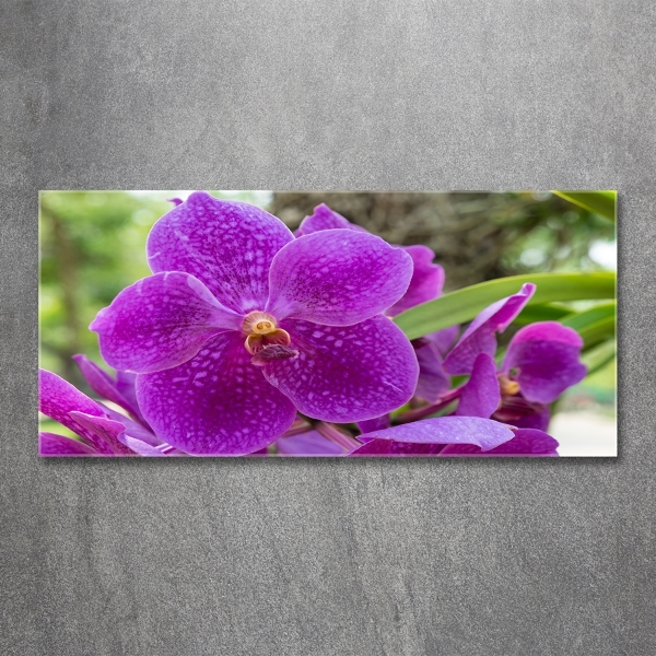 Schilderij glas Orchidee
