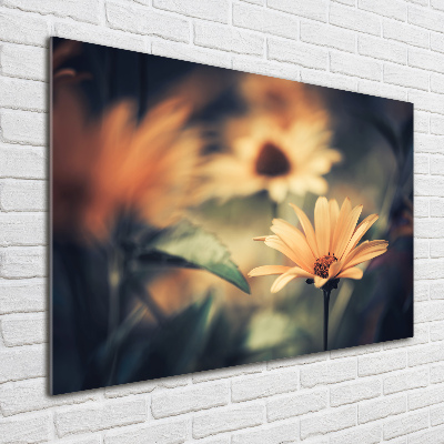 Foto schilderij op glas Lentebloem