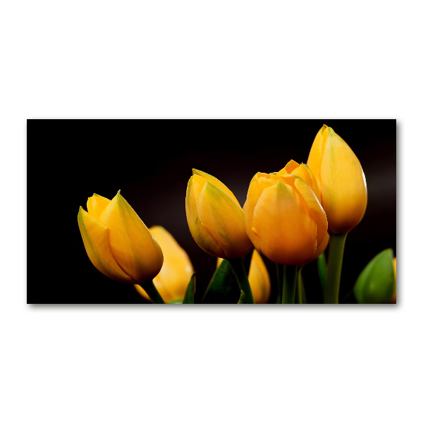 Schilderij op glas Gele tulpen