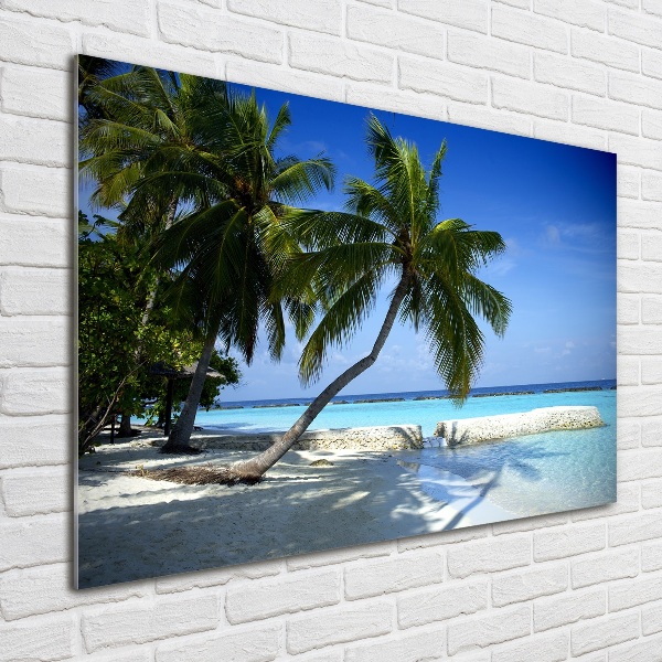 Schilderij glas Tropisch strand