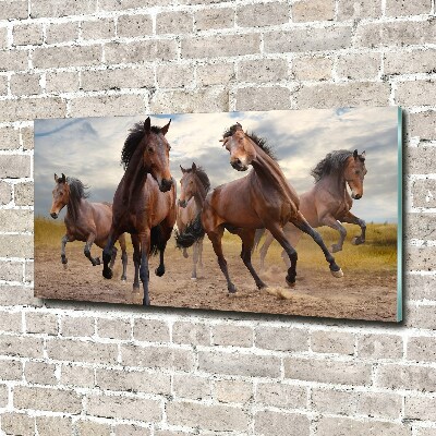Schilderij glas Vijf paarden