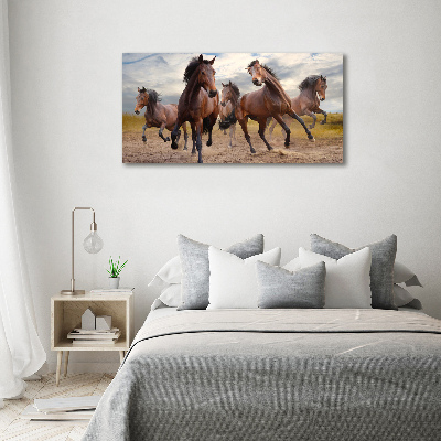 Schilderij glas Vijf paarden