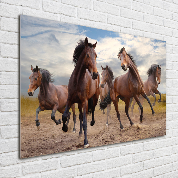 Schilderij glas Vijf paarden