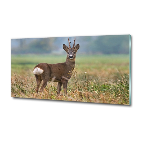 Glazen schilderij Roe