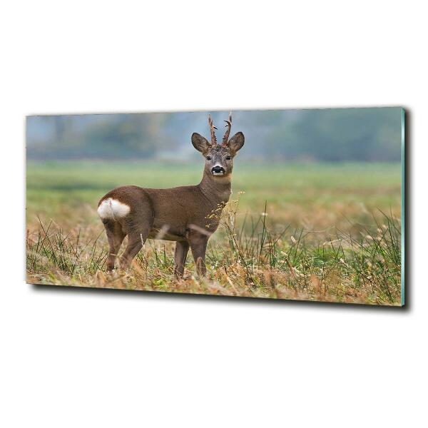 Glazen schilderij Roe