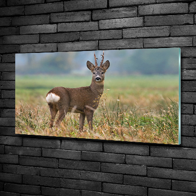 Glazen schilderij Roe