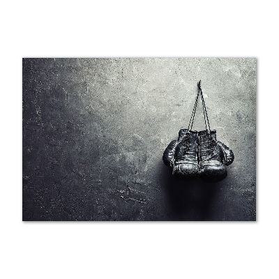 Schilderij op glas Bokshandschoenen