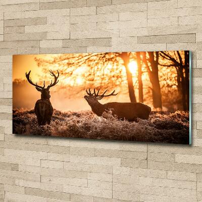 Schilderij op glas Herten zonsopgang