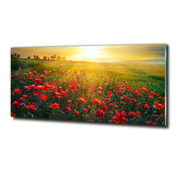 Schilderij glas Klaprozenveld