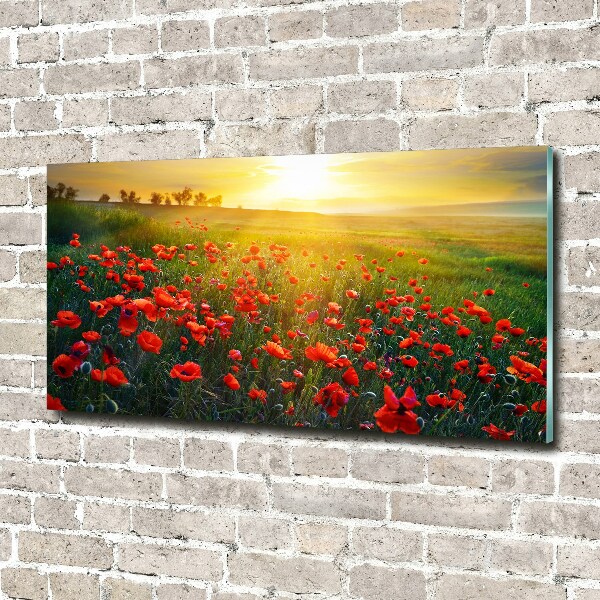 Schilderij glas Klaprozenveld