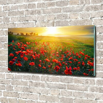 Schilderij glas Klaprozenveld