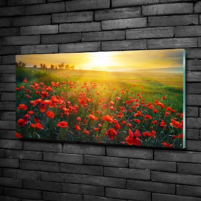 Schilderij glas Klaprozenveld