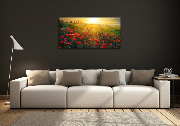 Schilderij glas Klaprozenveld