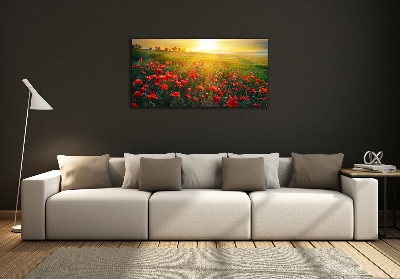 Schilderij glas Klaprozenveld