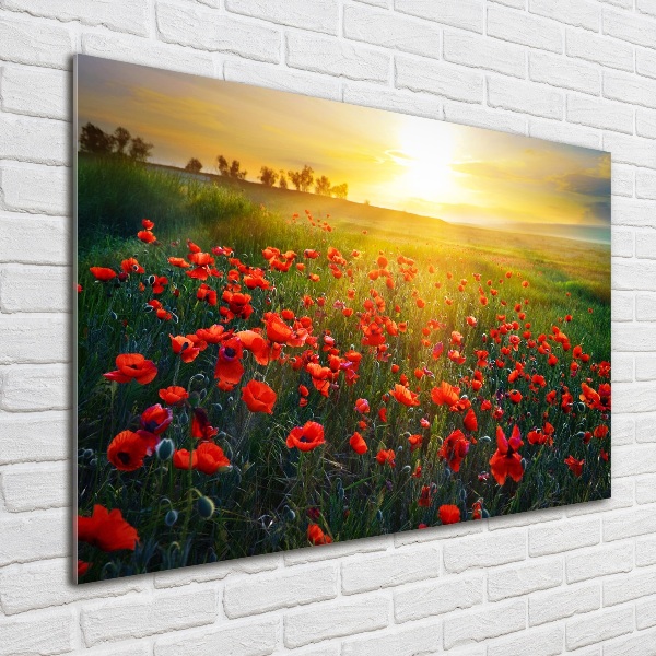 Schilderij glas Klaprozenveld