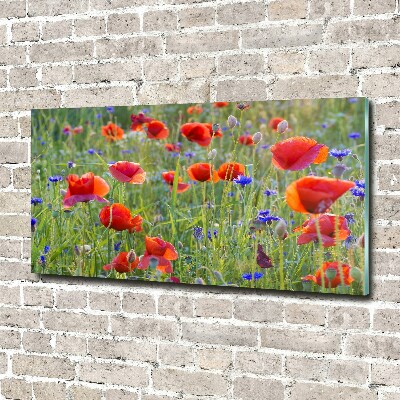 Schilderij op glas Wilde bloemen