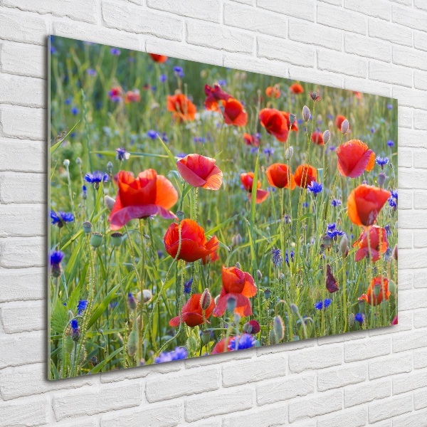 Schilderij op glas Wilde bloemen