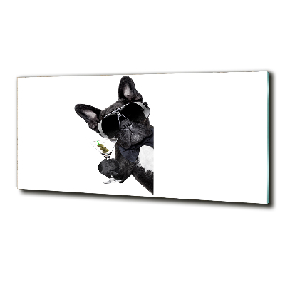 Foto schilderij op glas Martini Dog