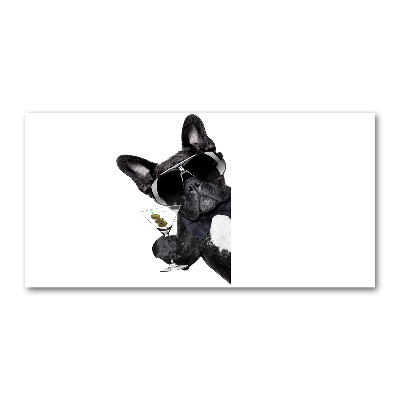 Foto schilderij op glas Martini Dog