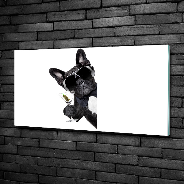 Foto schilderij op glas Martini Dog