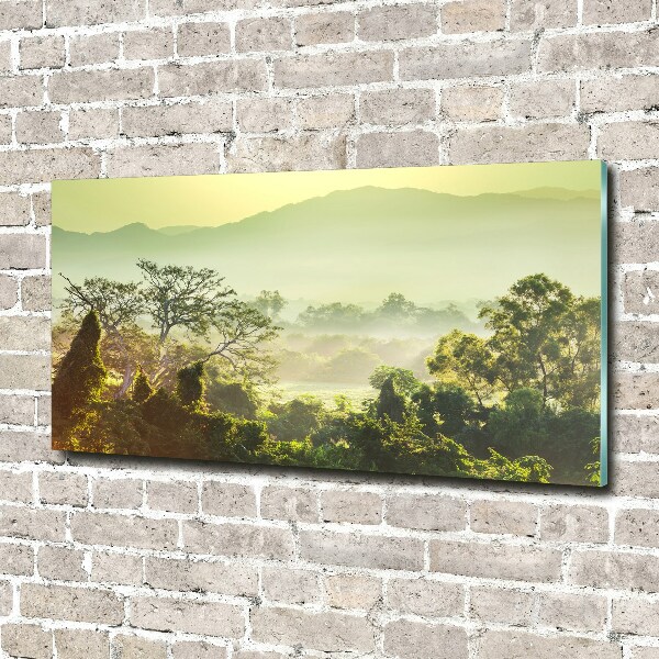 Foto schilderij op glas jungle