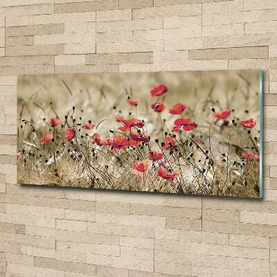 Foto schilderij op glas Klaprozen