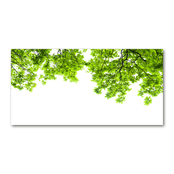 Schilderij glas Eikenbladeren