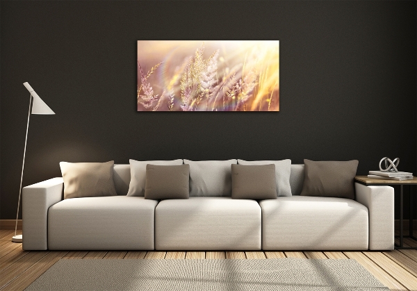 Foto schilderij op glas Hoog gras