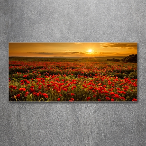 Schilderij glas Klaprozenveld