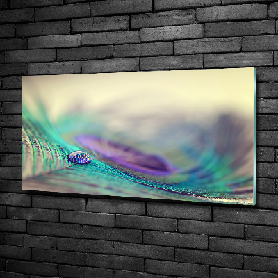 Glazen schilderij Een druppel op een veer