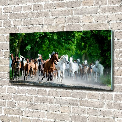 Schilderij op glas Paarden in galop