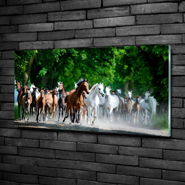 Schilderij op glas Paarden in galop