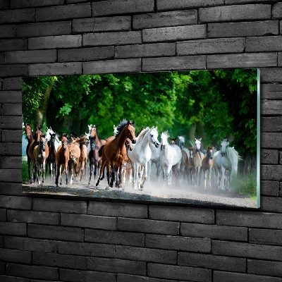 Schilderij op glas Paarden in galop