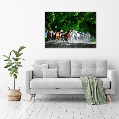 Schilderij op glas Paarden in galop