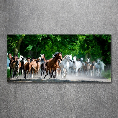 Schilderij op glas Paarden in galop