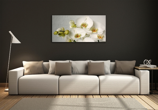 Glazen schilderij Witte orchidee