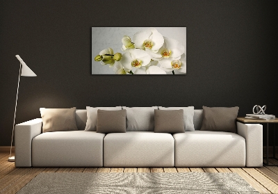 Glazen schilderij Witte orchidee