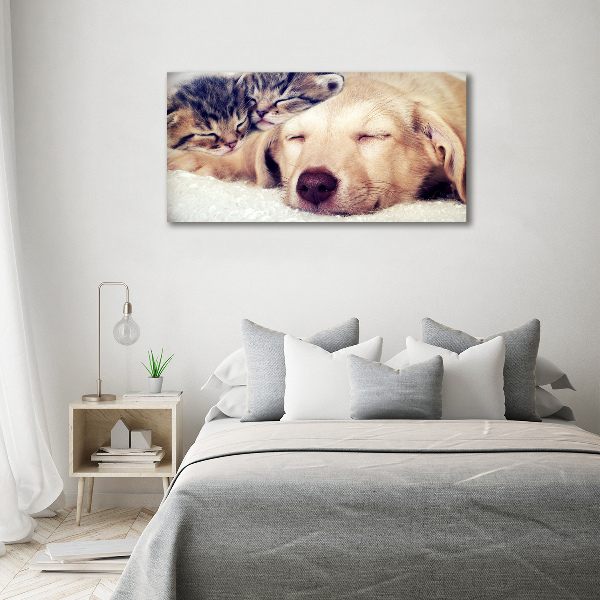 Schilderij glas Puppy's en katten