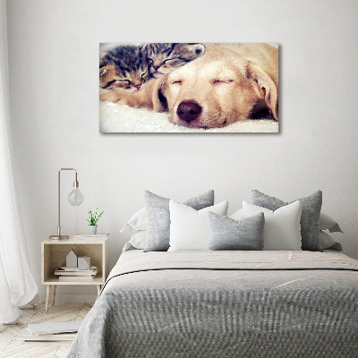 Schilderij glas Puppy's en katten