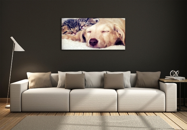Schilderij glas Puppy's en katten