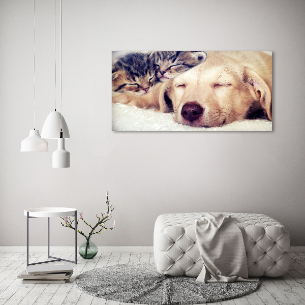 Schilderij glas Puppy's en katten