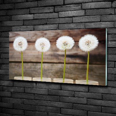 Schilderij op glas Paardenbloemen